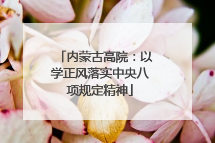 内蒙古高院：以学正风落实中央八项规定精神