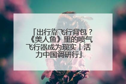 出行靠飞行背包？《美人鱼》里的喷气飞行器成为现实丨活力中国调研行