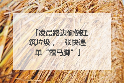 凌晨路边偷倒建筑垃圾，一张快递单“露马脚”