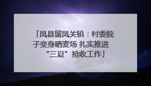 凤县留凤关镇：村委院子变身晒麦场 扎实推进“三夏”抢收工作