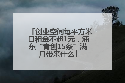 创业空间每平方米日租金不超1元，浦东“青创15条”满月带来什么
