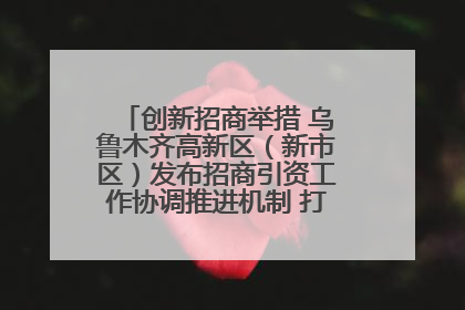 创新招商举措 乌鲁木齐高新区（新市区）发布招商引资工作协调推进机制 打造投资发展新高地