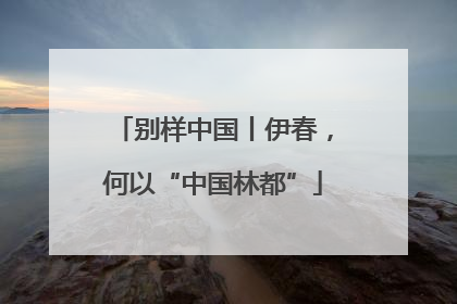 别样中国丨伊春，何以“中国林都”