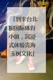 到丰台北粮国际体育小镇，沉浸式体验青海玉树文化
