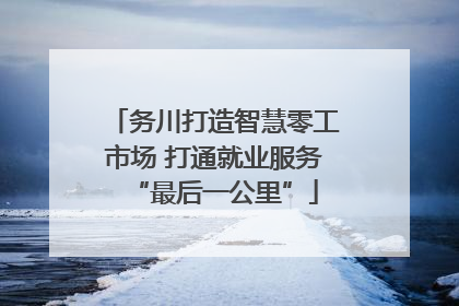 务川打造智慧零工市场 打通就业服务“最后一公里”