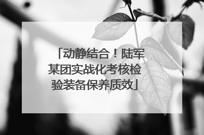 动静结合！陆军某团实战化考核检验装备保养质效