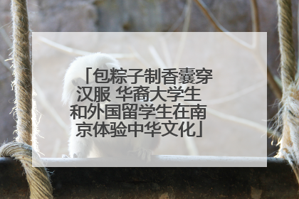 包粽子制香囊穿汉服 华裔大学生和外国留学生在南京体验中华文化