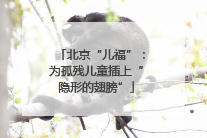 北京“儿福”：为孤残儿童插上“隐形的翅膀”