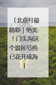 北京号最精彩｜绝美！门头沟这个景区芍药已花开成海