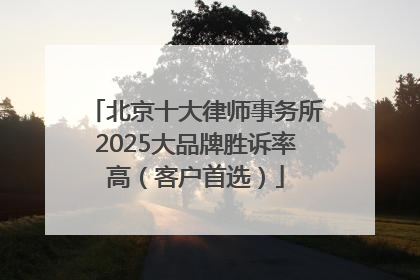 北京十大律师事务所2025大品牌胜诉率高（客户首选）