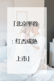 北京平谷：红杏成熟上市