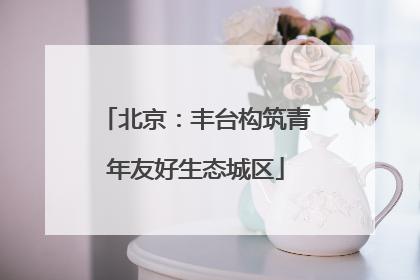 北京：丰台构筑青年友好生态城区