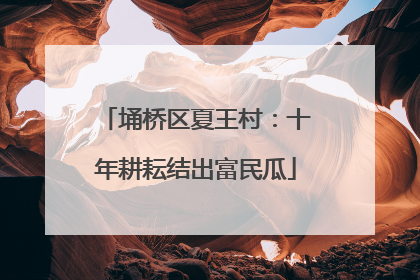 埇桥区夏王村：十年耕耘结出富民瓜