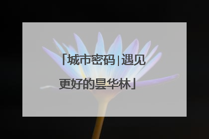 城市密码∣遇见更好的昙华林