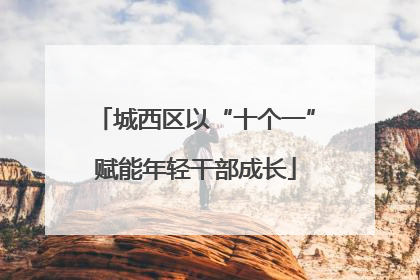城西区以“十个一”赋能年轻干部成长