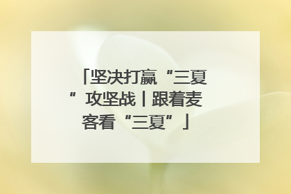坚决打赢“三夏”攻坚战丨跟着麦客看“三夏”