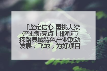 坚定信心 勇挑大梁·产业新亮点丨邯郸市探路县域特色产业联动发展：飞地，为好项目跨域安个家