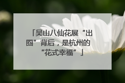 吴山八仙花展“出圈”背后，是杭州的“花式幸福”