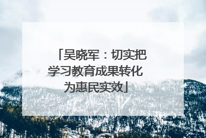 吴晓军：切实把学习教育成果转化为惠民实效