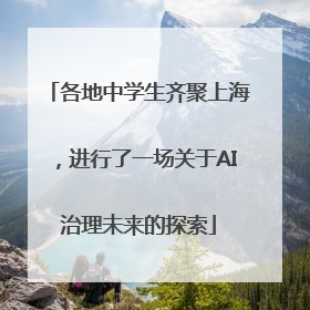 各地中学生齐聚上海，进行了一场关于AI治理未来的探索