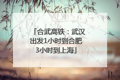 合武高铁：武汉出发1小时到合肥3小时到上海