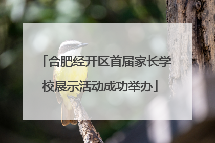 合肥经开区首届家长学校展示活动成功举办