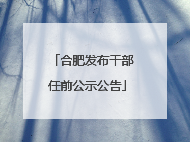 合肥发布干部任前公示公告