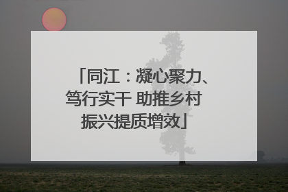 同江：凝心聚力、笃行实干 助推乡村振兴提质增效
