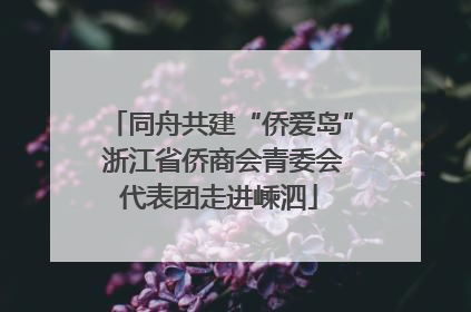 同舟共建“侨爱岛” 浙江省侨商会青委会代表团走进嵊泗