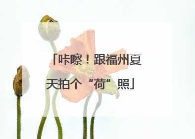 咔嚓！跟福州夏天拍个“荷”照