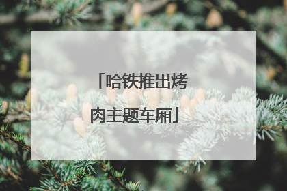 哈铁推出烤肉主题车厢