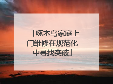 啄木鸟家庭上门维修在规范化中寻找突破