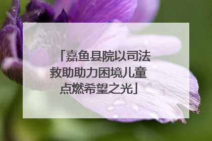 嘉鱼县院以司法救助助力困境儿童点燃希望之光