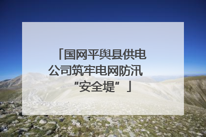 国网平舆县供电公司筑牢电网防汛“安全堤”
