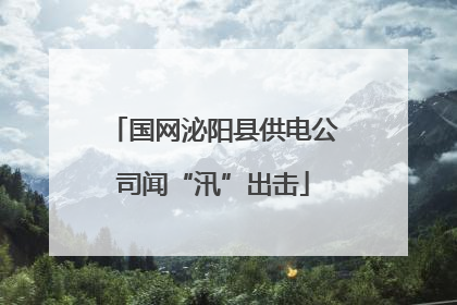 国网泌阳县供电公司闻“汛”出击