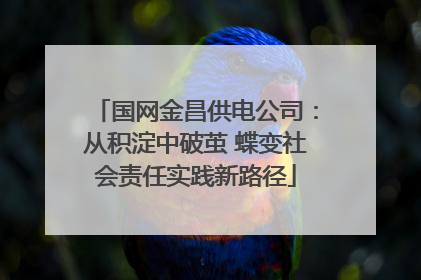 国网金昌供电公司：从积淀中破茧 蝶变社会责任实践新路径