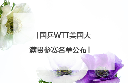 国乒WTT美国大满贯参赛名单公布