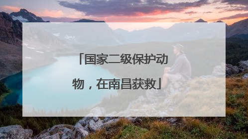 国家二级保护动物，在南昌获救