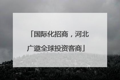 国际化招商，河北广邀全球投资客商