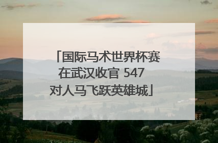 国际马术世界杯赛在武汉收官 547对人马飞跃英雄城