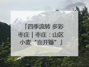 四季流转 多彩枣庄｜枣庄：山区小麦“喜开镰”
