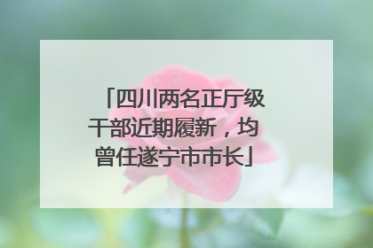 四川两名正厅级干部近期履新，均曾任遂宁市市长