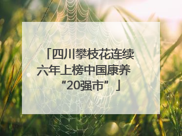四川攀枝花连续六年上榜中国康养“20强市”