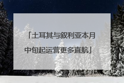 土耳其与叙利亚本月中旬起运营更多直航