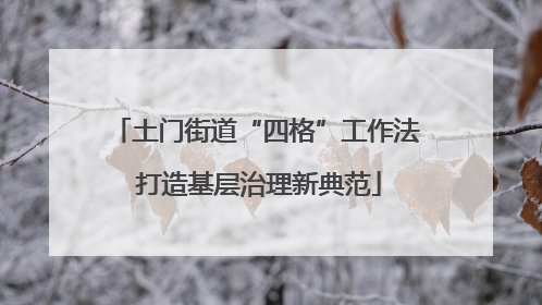 土门街道“四格”工作法 打造基层治理新典范