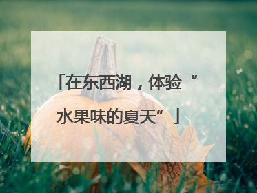 在东西湖，体验“水果味的夏天”
