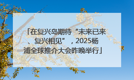 在复兴岛期待“未来已来、复兴相见”，2025杨浦全球推介大会昨晚举行