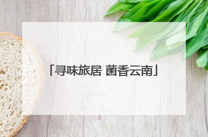寻味旅居 菌香云南