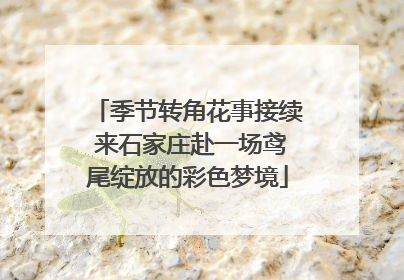 季节转角花事接续 来石家庄赴一场鸢尾绽放的彩色梦境