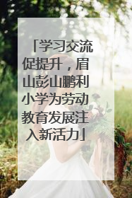 学习交流促提升，眉山彭山鹏利小学为劳动教育发展注入新活力